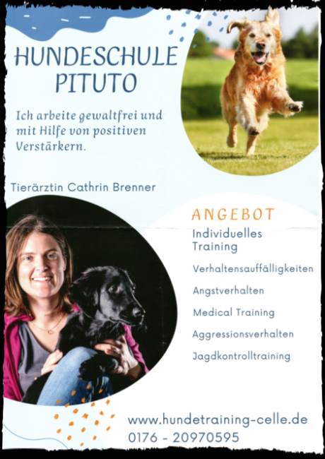 Hundeschule Pituto - Ich trainiere gewaltfrei und verwende moderne Trainingsmethoden, die die Bedürfnisse des Tieres in den Fokus nehmen. Erwünschtes Verhalten wird verstärkt, während neues Verhalten schrittweise aufgebaut wird